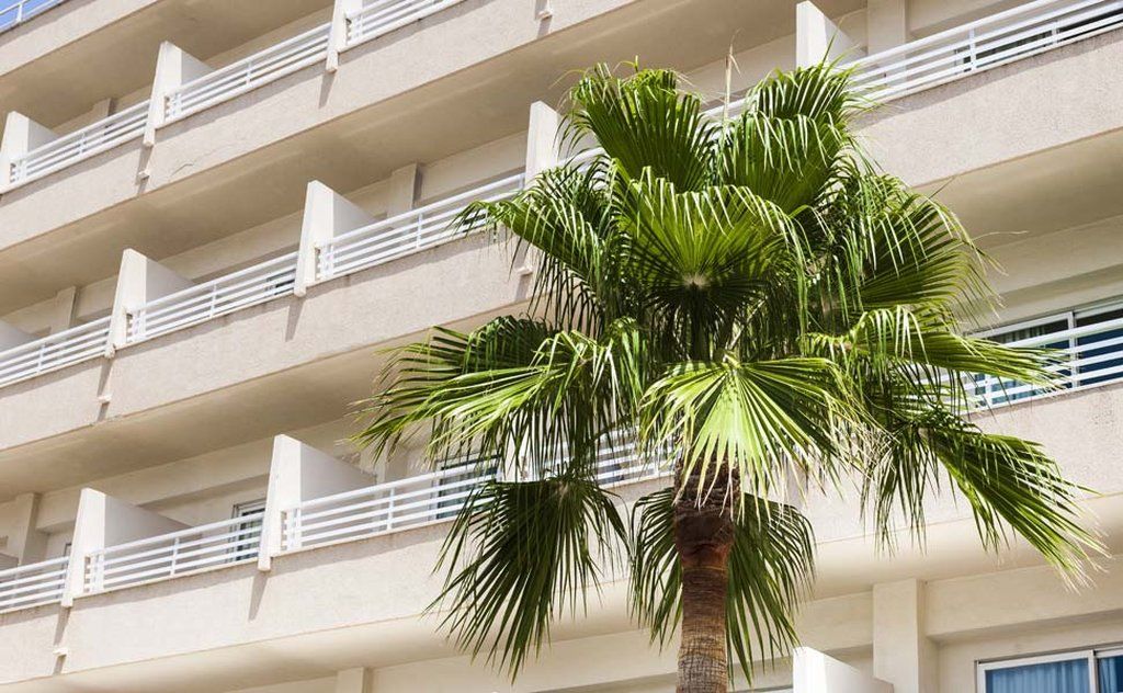 Globales Santa Ponsa Park Hotel Luaran gambar